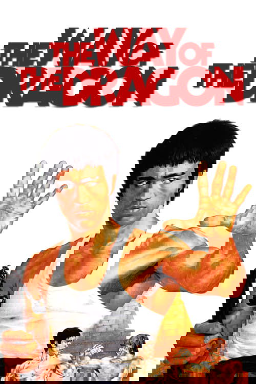 The Way of the Dragon Poster